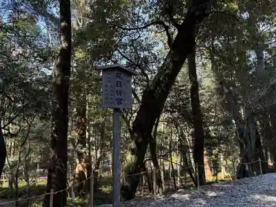 伊勢神宮内宮（皇大神宮）(三重県)
