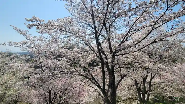 木野山神社(愛媛県)