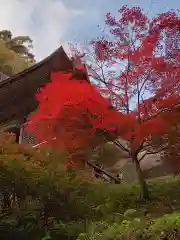 宝珠山 立石寺(山形県)