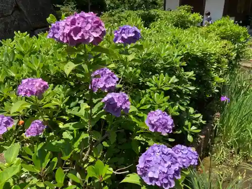 天台宗　長窪山　正覚寺の自然