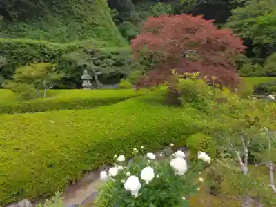長壽寺（長寿寺）(神奈川県)