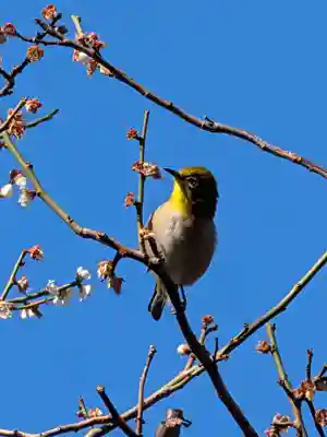 高円寺(東京都)