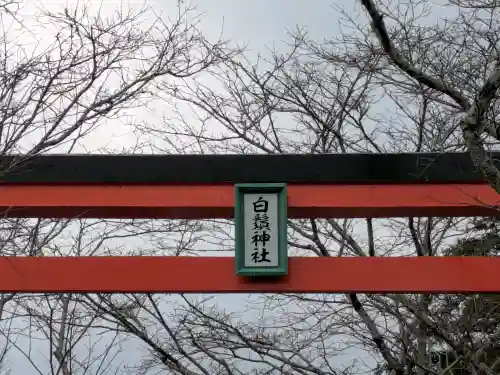 白鬚神社の{uncategorized: "未分類", other: "その他", undefined: "問題あり", building: "その他建物", grave: "お墓", sacred_gate: "鳥居", guardian: "狛犬", statue: "像", buddha: "仏像", history: "歴史", nature: "自然", garden: "庭園", animal: "動物", pagoda: "塔", temizu: "手水舎", mountain_gate: "山門・神門", sanctuary: "本殿・本堂", subordinate: "末社・摂社", art: "芸術", scenery: "景色", jizo: "地蔵", ema: "絵馬", goshuin: "御朱印", omikuji: "おみくじ", items: "授与品その他", amulet: "お守り", goshuincho: "御朱印帳", eats: "食事", festival: "お祭り", votive_dance: "神楽", shichigosan: "七五三参", wedding: "結婚式", experience: "体験その他", initially: "初詣", around: "周辺", anti_infection: "感染症対策"}