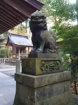 彌彦神社の狛犬