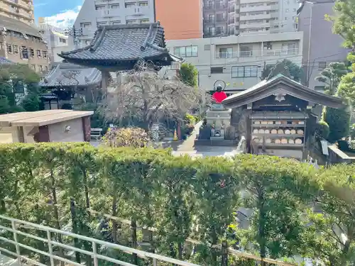 教安寺のその他建物