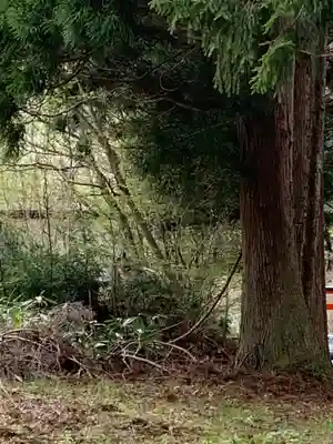 赤瀧神社の自然