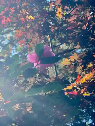 猿丸神社(京都府)
