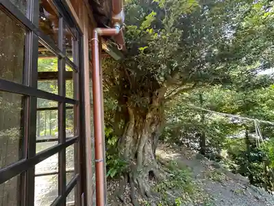日枝神社(福井県)