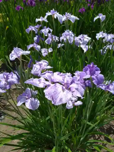 伊佐須美神社(福島県)