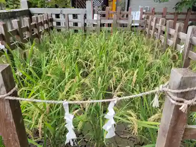 御作田社の自然