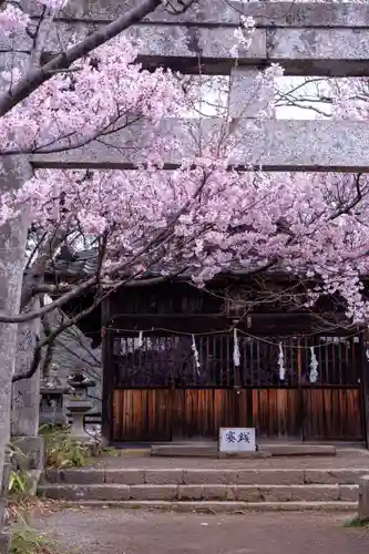 新城藤原神社(長野県)