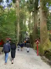 箱根神社の建物その他