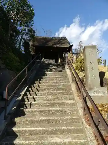 泥牛庵の山門・神門