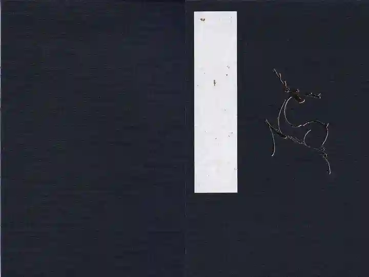 鏡石鹿嶋神社 *安産・開運・勝利の神さま*の御朱印帳