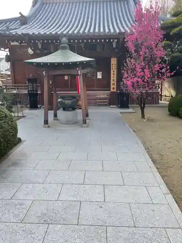大日寺の本殿・本堂