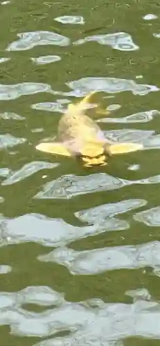 善寶寺(山形県)