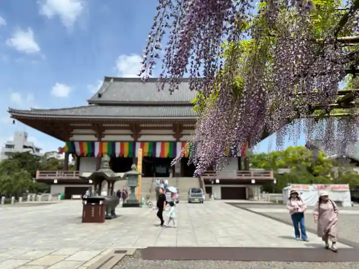 西新井大師総持寺の{uncategorized: "未分類", other: "その他", undefined: "問題あり", building: "その他建物", grave: "お墓", sacred_gate: "鳥居", guardian: "狛犬", statue: "像", buddha: "仏像", history: "歴史", nature: "自然", garden: "庭園", animal: "動物", pagoda: "塔", temizu: "手水舎", mountain_gate: "山門・神門", sanctuary: "本殿・本堂", subordinate: "末社・摂社", art: "芸術", scenery: "景色", jizo: "地蔵", ema: "絵馬", goshuin: "御朱印", omikuji: "おみくじ", items: "授与品その他", amulet: "お守り", goshuincho: "御朱印帳", eats: "食事", festival: "お祭り", votive_dance: "神楽", shichigosan: "七五三参", wedding: "結婚式", experience: "体験その他", initially: "初詣", around: "周辺", anti_infection: "感染症対策"}