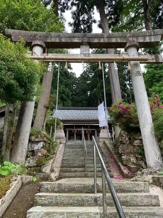 新羅神社(福井県)