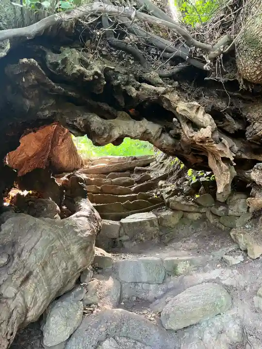 大山祇神社奥の院 生樹の御門の{uncategorized: "未分類", other: "その他", undefined: "問題あり", building: "その他建物", grave: "お墓", sacred_gate: "鳥居", guardian: "狛犬", statue: "像", buddha: "仏像", history: "歴史", nature: "自然", garden: "庭園", animal: "動物", pagoda: "塔", temizu: "手水舎", mountain_gate: "山門・神門", sanctuary: "本殿・本堂", subordinate: "末社・摂社", art: "芸術", scenery: "景色", jizo: "地蔵", ema: "絵馬", goshuin: "御朱印", omikuji: "おみくじ", items: "授与品その他", amulet: "お守り", goshuincho: "御朱印帳", eats: "食事", festival: "お祭り", votive_dance: "神楽", shichigosan: "七五三参", wedding: "結婚式", experience: "体験その他", initially: "初詣", around: "周辺", anti_infection: "感染症対策"}