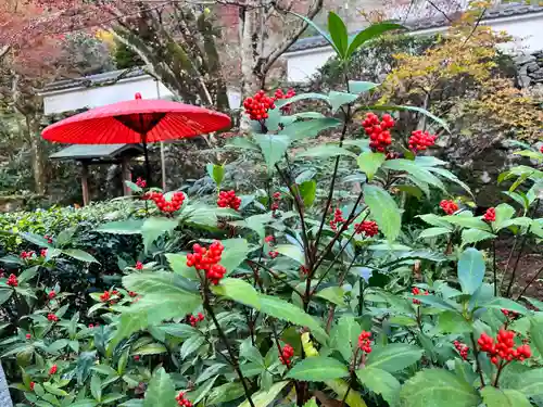 神藏寺(京都府)