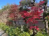 円常院(圓常院) enjoyntemple(京都府)