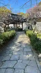 道明寺天満宮(大阪府)