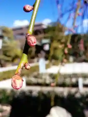 常性寺(東京都)