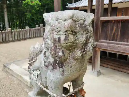 八幡神社の狛犬