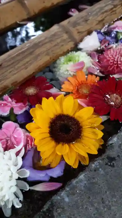 札幌護國神社の手水舎