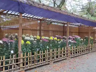 靖國神社の芸術