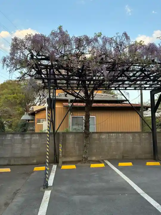 春山寺(千葉県)