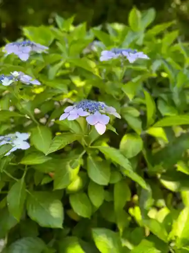 浄妙寺(神奈川県)