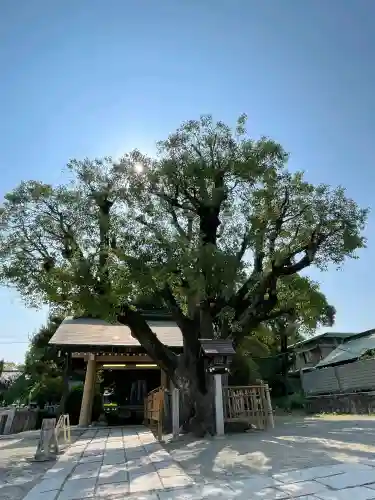 和泉國一之宮　大鳥大社の{uncategorized: "未分類", other: "その他", undefined: "問題あり", building: "その他建物", grave: "お墓", sacred_gate: "鳥居", guardian: "狛犬", statue: "像", buddha: "仏像", history: "歴史", nature: "自然", garden: "庭園", animal: "動物", pagoda: "塔", temizu: "手水舎", mountain_gate: "山門・神門", sanctuary: "本殿・本堂", subordinate: "末社・摂社", art: "芸術", scenery: "景色", jizo: "地蔵", ema: "絵馬", goshuin: "御朱印", omikuji: "おみくじ", items: "授与品その他", amulet: "お守り", goshuincho: "御朱印帳", eats: "食事", festival: "お祭り", votive_dance: "神楽", shichigosan: "七五三参", wedding: "結婚式", experience: "体験その他", initially: "初詣", around: "周辺", anti_infection: "感染症対策"}