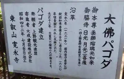 上野大佛(東京都)