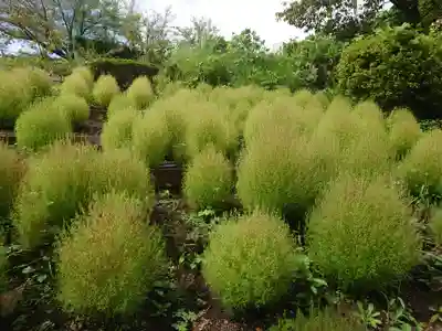 よみうりランド観音(東京都)
