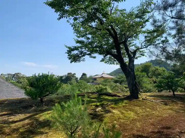 鹿苑寺(金閣寺)(京都府)