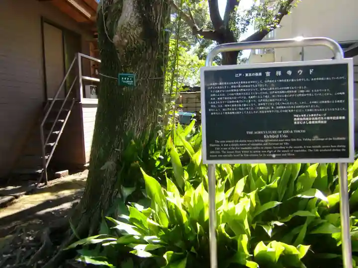 武蔵野八幡宮(東京都)