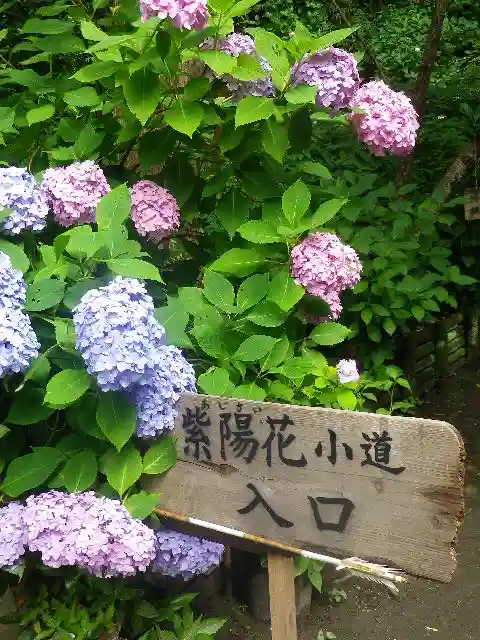 御霊神社のその他建物