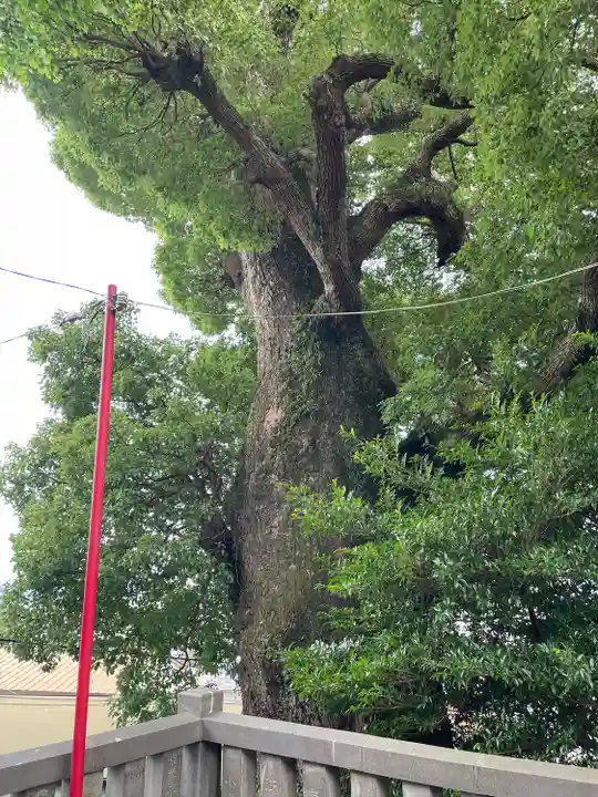 産土八幡神社(神奈川県)