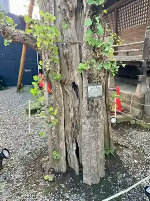 廣尾稲荷神社(東京都)