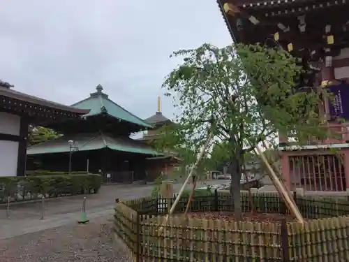 池上本門寺(東京都)