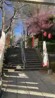 田無神社(東京都)