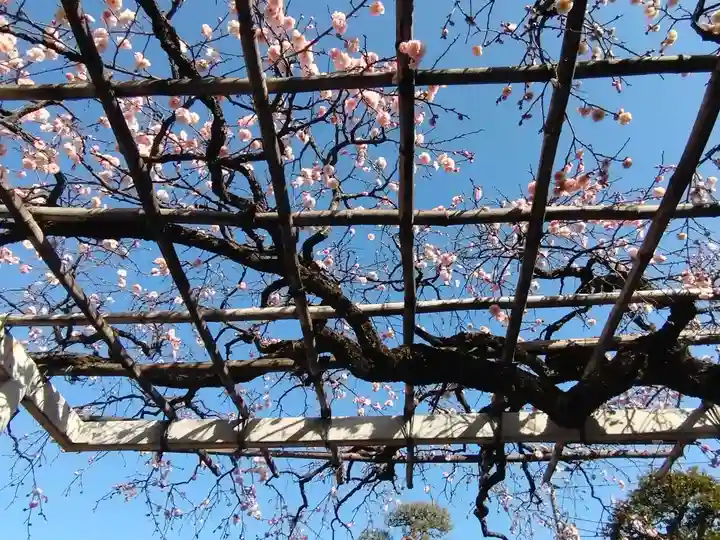 長善寺(東京都)