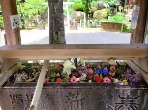 鳩森八幡神社の手水舎