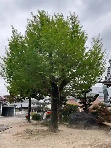 泉徳寺(愛知県)