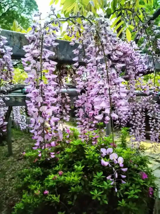阿智神社(岡山県)