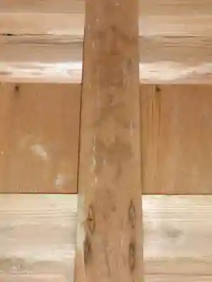 八雷神社(矢房神社)(熊本県)