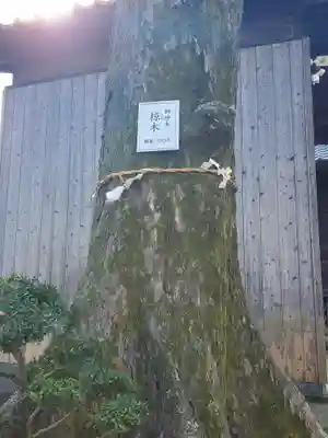 豊武神社の自然