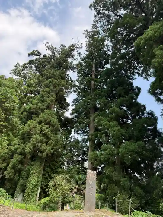 富士山興法寺 大日堂(静岡県)