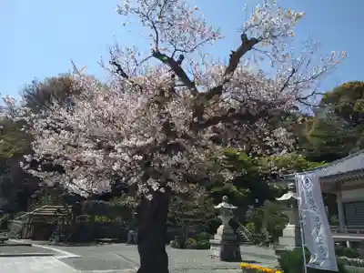 弘誓院(神奈川県)